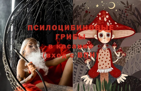 марки lsd Ельня