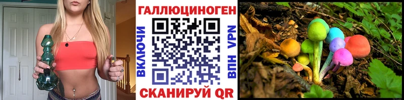 Псилоцибиновые грибы прущие грибы  Салаир 